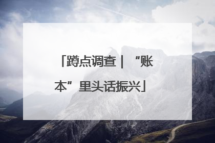 蹲点调查｜“账本”里头话振兴