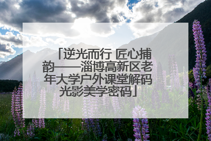 逆光而行 匠心捕韵——淄博高新区老年大学户外课堂解码光影美学密码