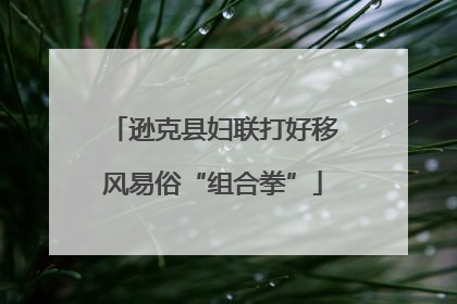 逊克县妇联打好移风易俗“组合拳”