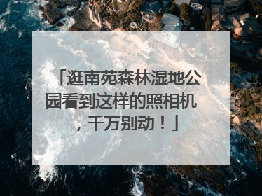 逛南苑森林湿地公园看到这样的照相机，千万别动！