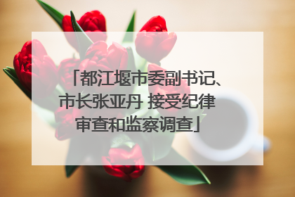 都江堰市委副书记、市长张亚丹 接受纪律审查和监察调查