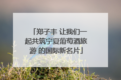 郑子丰 让我们一起共筑宁夏葡萄酒旅游 的国际新名片