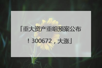 重大资产重组预案公布！300672，大涨