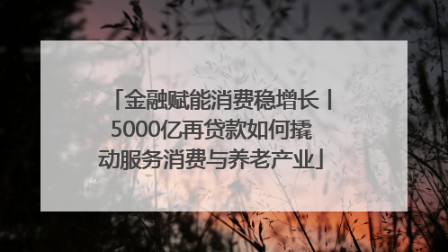 金融赋能消费稳增长丨5000亿再贷款如何撬动服务消费与养老产业