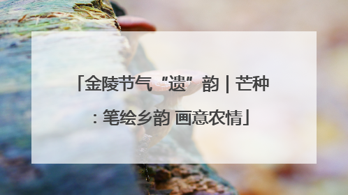 金陵节气“遗”韵｜芒种：笔绘乡韵 画意农情