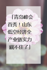 青岛峰会首秀！山东低空经济全产业链实力藏不住了