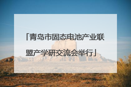 青岛市固态电池产业联盟产学研交流会举行