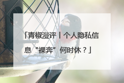 青椒漫评丨个人隐私信息“裸奔”何时休？
