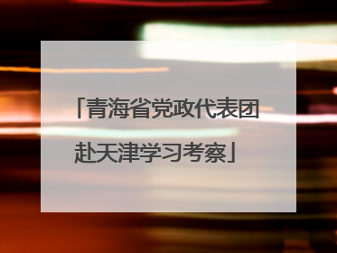 青海省党政代表团赴天津学习考察