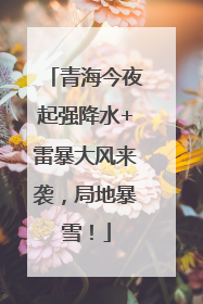 青海今夜起强降水+雷暴大风来袭，局地暴雪！