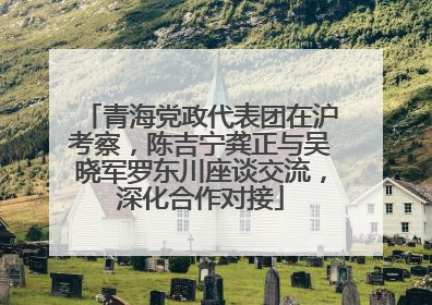 青海党政代表团在沪考察，陈吉宁龚正与吴晓军罗东川座谈交流，深化合作对接