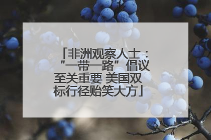 非洲观察人士：“一带一路”倡议至关重要 美国双标行径贻笑大方