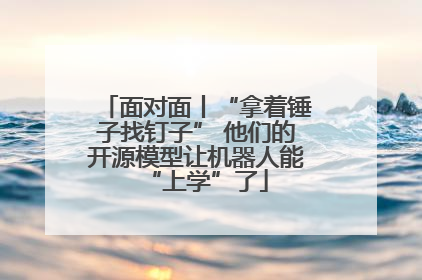 面对面丨“拿着锤子找钉子” 他们的开源模型让机器人能“上学”了