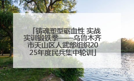 铸魂塑型砺血性 实战实训锻铁拳——乌鲁木齐市天山区人武部组织2025年度民兵集中轮训