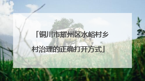 铜川市耀州区水峪村乡村治理的正确打开方式