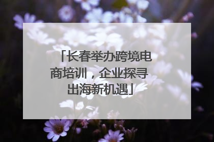 长春举办跨境电商培训,企业探寻出海新机遇