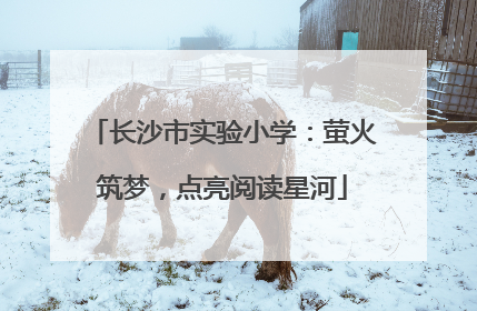 长沙市实验小学：萤火筑梦，点亮阅读星河