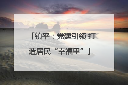 镇平：党建引领 打造居民“幸福里”