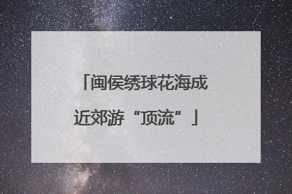 闽侯绣球花海成近郊游“顶流”