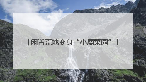 闲置荒地变身“小鹿菜园”
