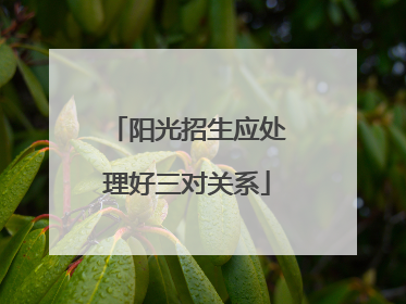 阳光招生应处理好三对关系