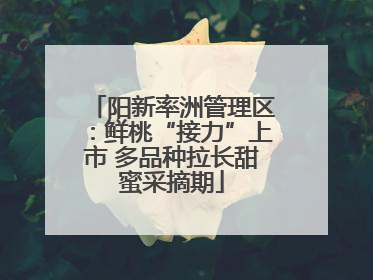 阳新率洲管理区：鲜桃“接力”上市 多品种拉长甜蜜采摘期