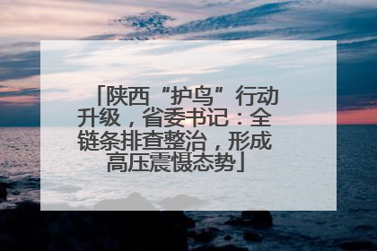 陕西“护鸟”行动升级，省委书记：全链条排查整治，形成高压震慑态势