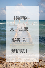 陕西神木：志愿服务 为梦护航