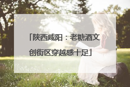 陕西咸阳：老糖酒文创街区穿越感十足