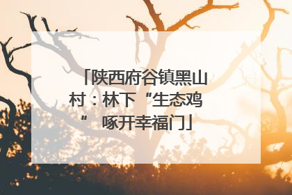 陕西府谷镇黑山村：林下“生态鸡” 啄开幸福门