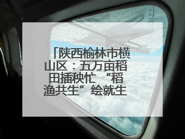 陕西榆林市横山区：五万亩稻田插秧忙 “稻渔共生”绘就生态富民新画卷