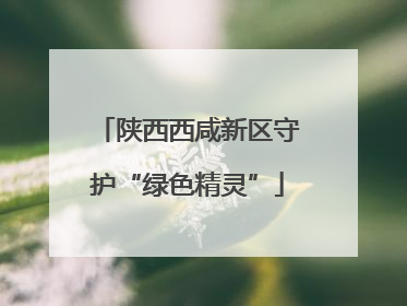 陕西西咸新区守护“绿色精灵”