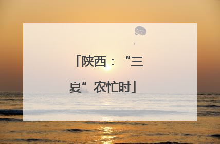 陕西：“三夏”农忙时