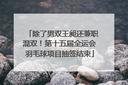除了男双王昶还兼职混双！第十五届全运会羽毛球项目抽签结束