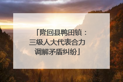 隆回县鸭田镇：三级人大代表合力调解矛盾纠纷