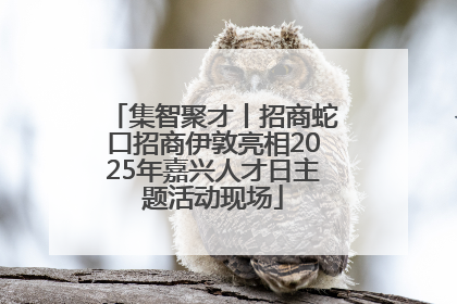 集智聚才丨招商蛇口招商伊敦亮相2025年嘉兴人才日主题活动现场