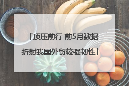 顶压前行 前5月数据折射我国外贸较强韧性