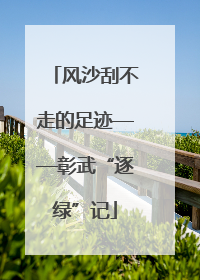 风沙刮不走的足迹——彰武“逐绿”记