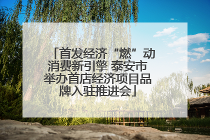 首发经济“燃”动消费新引擎 泰安市举办首店经济项目品牌入驻推进会