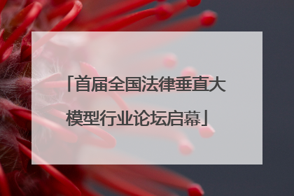 首届全国法律垂直大模型行业论坛启幕