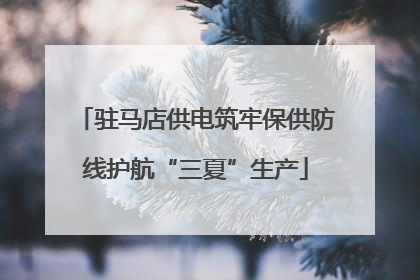 驻马店供电筑牢保供防线护航“三夏”生产