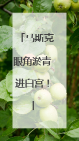 马斯克眼角淤青进白宫！