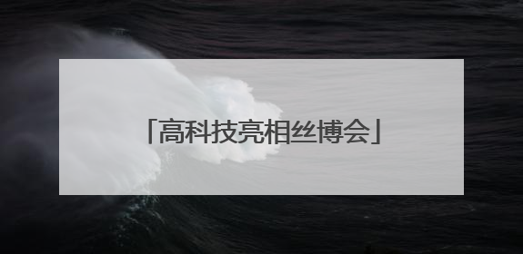 高科技亮相丝博会