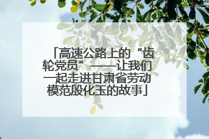 高速公路上的“齿轮党员”——让我们一起走进甘肃省劳动模范殷化玉的故事