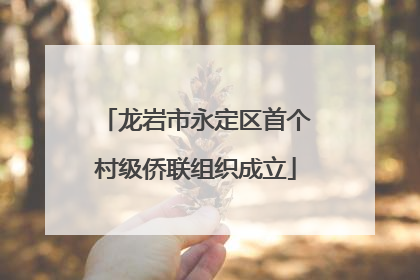 龙岩市永定区首个村级侨联组织成立