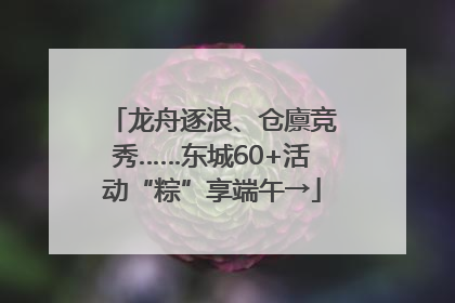 龙舟逐浪、仓廪竞秀……东城60+活动“粽”享端午→