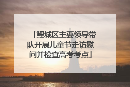 鲤城区主要领导带队开展儿童节走访慰问并检查高考考点