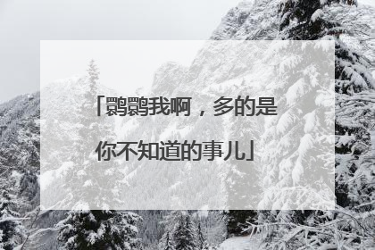 鹮鹮我啊，多的是你不知道的事儿