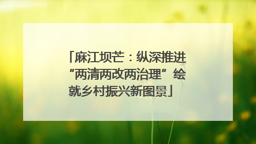 麻江坝芒：纵深推进“两清两改两治理”绘就乡村振兴新图景