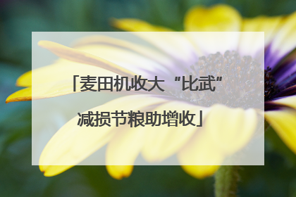 麦田机收大“比武” 减损节粮助增收